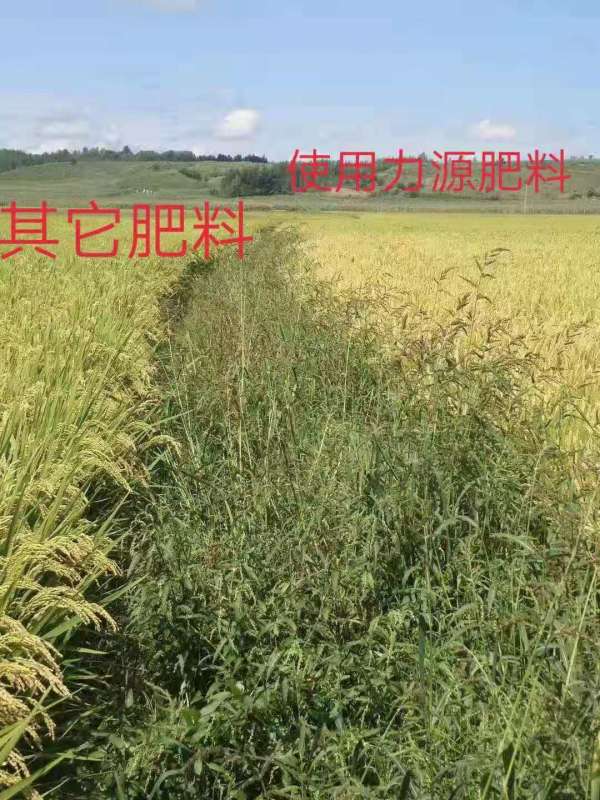&#38886;&#24503;&#32593;&#31449;&#45;&#40;&#20013;&#22269;&#41;&#26377;&#38480;&#36131;&#20219;&#38886;&#24503;&#32593;&#31449;